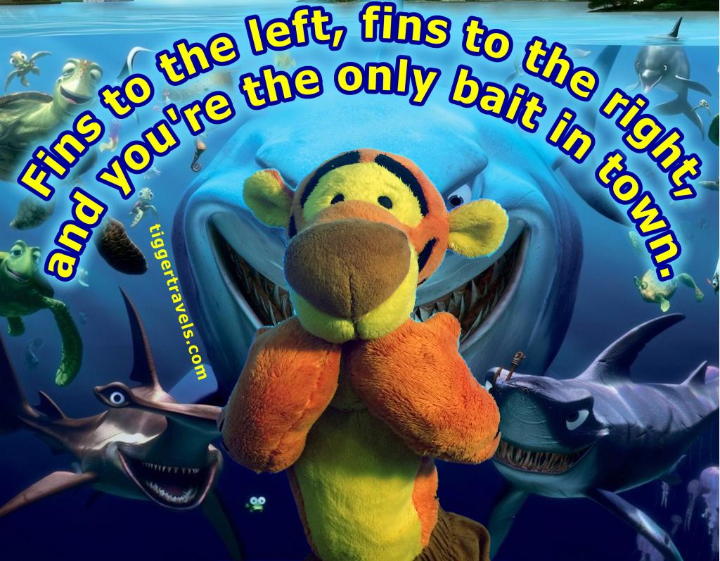 Click to enlarge image  - Fins to the left, fins to the right!! - Jimmy Buffett and the Coral Reefers and Shark Week on Discovery inspired Tigger to go for a dive for Finding Dory!