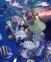 Click to enlarge image - Royal Caribbean - The Flight - Couples of Promise, Christian Cruise Network