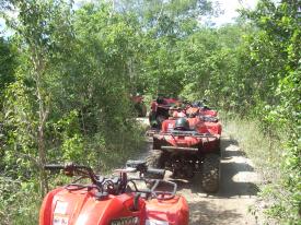 Click to enlarge image Riding four wheelers in Cozumel - Disney Cruise Line is saying good bye to Galveston - and heading back to Miami, January 2014