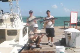Val Adam and David show their catch of the day. Three of a total of six caught. Val Adam and David show their catch of the day. Three of a total of six caught. - Deep Sea Fishing in Grand Cayman - We caught nothing but barracuda but we had a lot of FUN doing it!!