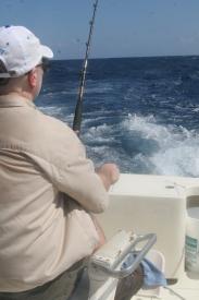 David brought in a barracuda, too. David brought in a barracuda, too. - Deep Sea Fishing in Grand Cayman - We caught nothing but barracuda but we had a lot of FUN doing it!!