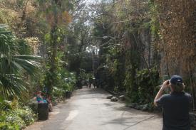 Click to enlarge image Looking up the complete hand cut passage from the bottom end by the road below the Queen`s Staircase. - The Queen`s Staircase - Escape Route from Fort Fincastle that still exists.