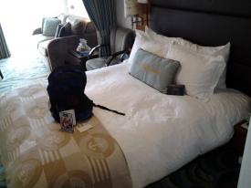 A lot of space around the large bed with a gift for returning cruisers. A lot of space around the large bed with a gift for returning cruisers. - To Concierge or Not to Concierge, that is the question? - What is all the fuss about?