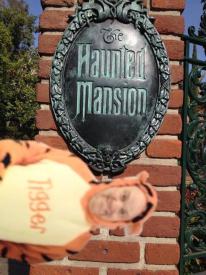 Click to enlarge image There are 999 happy haunts in the Haunted Mansion, but there is always room for one more. Any takers? - Flat Tigger Goes to Disneyland - The continuing story of Ray's Flat Tigger