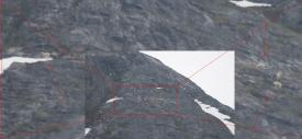 Click to enlarge image We even was mountain goats!! - Everyone should Cruise the Inside Passage - Part 2: One of the most impressive cruises ever, the coast of Alaska with take your breath away!!