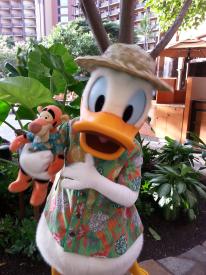 Click to enlarge image  - Aulani: A Disney Resort and Spa Video Tour Pools and More - Sixty-two minutes of footage around the Hawaiian Disney DVC Resort