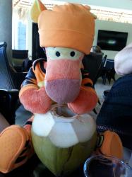 Click to enlarge image Tigger enjoying a coconut water in the Platinum Lounge - Finding a Coconut Guy at the Bavaro Princess, Punta Cana - 
