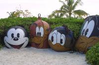 Click to enlarge image  - Walt Disney Cruise Vacation - Castaway Cay - Success at last