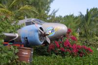 Click to enlarge image  - Walt Disney Cruise Vacation - Castaway Cay - Success at last