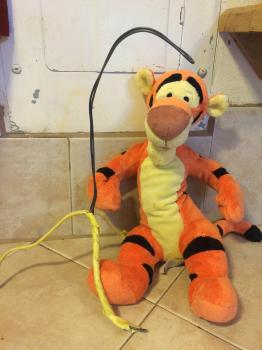 Click to enlarge image  - Tigger undergoes Successful Spine Surgery - Follow the story of Tigger's upgrade, an exciting say in his life!