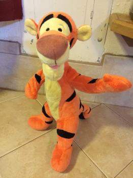 Click to enlarge image  - Tigger undergoes Successful Spine Surgery - Follow the story of Tigger's upgrade, an exciting say in his life!