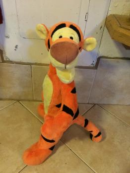 Click to enlarge image  - Tigger undergoes Successful Spine Surgery - Follow the story of Tigger's upgrade, an exciting say in his life!