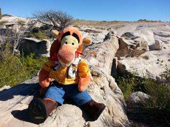 Agate Bridge in the Petrified Forest National Park Arizona