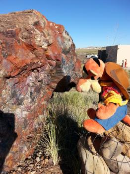 Click to enlarge image Other sights offer views of impressive pieces of petrified wood. - Agate Bridge in the Petrified Forest National Park, Arizona - History preserved but not forever, see it while you can!