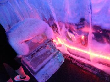 Click to enlarge image  - ICEBAR Orlando a COOL place to visit - 