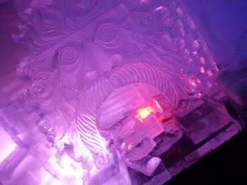 Click to enlarge image  - ICEBAR Orlando a COOL place to visit - 