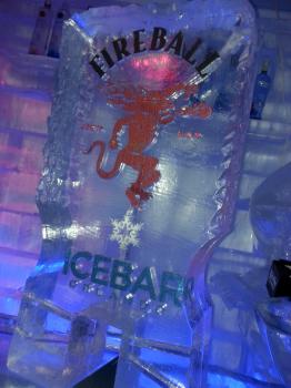 Click to enlarge image  - ICEBAR Orlando a COOL place to visit - 