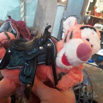 Click to enlarge image Tigger trying on a new saddle! ...Wait... is that right?? - There's no place in Texas like Fort Worth's Stockyards Station - Tigger takes some Brittish friends for a REAL Texas experience!