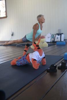 Click to enlarge image Tigger can look out for Heffalumps and dogs better in the UP DOG position!! - Tigger Attends Yoga Class at The Balinese Wellness Spa and Yoga Retreat - Port Aransas, Texas