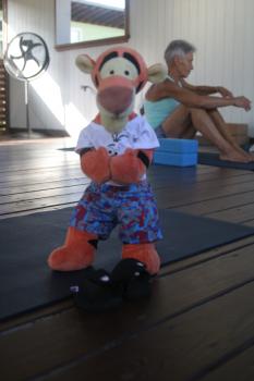 Click to enlarge image Namaste - Tigger Attends Yoga Class at The Balinese Wellness Spa and Yoga Retreat - Port Aransas, Texas