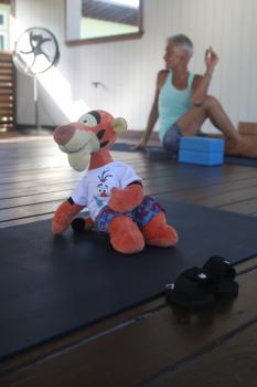 Click to enlarge image Stretch those muscles, Tigger! - Tigger Attends Yoga Class at The Balinese Wellness Spa and Yoga Retreat  - Port Aransas, Texas