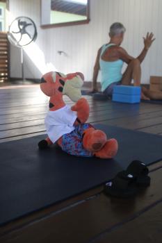 Click to enlarge image  - Tigger Attends Yoga Class at The Balinese Wellness Spa and Yoga Retreat  - Port Aransas, Texas