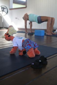 Click to enlarge image  - Tigger Attends Yoga Class at The Balinese Wellness Spa and Yoga Retreat  - Port Aransas, Texas