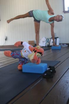 Click to enlarge image - Tigger Attends Yoga Class at The Balinese Wellness Spa and Yoga Retreat - Port Aransas, Texas