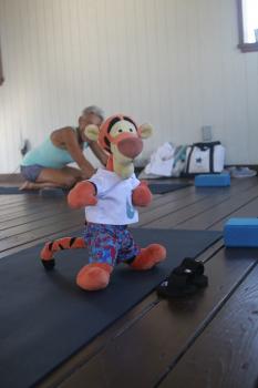 Click to enlarge image This is Yoga, not Karate, Tigger!! - Tigger Attends Yoga Class at The Balinese Wellness Spa and Yoga Retreat - Port Aransas, Texas