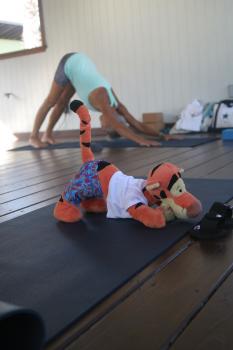 Tigger Attends Yoga Class at The Balinese Wellness Spa and Yoga Retreat