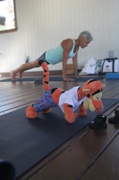 Click to enlarge image Building his collection of poses... the PLANK! - Tigger Attends Yoga Class at The Balinese Wellness Spa and Yoga Retreat  - Port Aransas, Texas