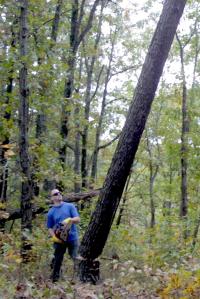 Click to enlarge image  - Arkansas Cabin Ground Breaking - The first days of REAL work - Part 1 of 3