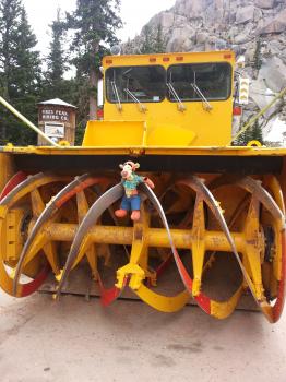 Click to enlarge image Tigger needs to watch where he bounces! - Exploring the Top of Pikes Peak Mountain - Near Colorado Springs, Colorado, over 14,000 feet and a view that is hard to beat!