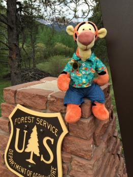 Click to enlarge image  - Exploring the Top of Pikes Peak Mountain - Near Colorado Springs, Colorado, over 14,000 feet and a view that is hard to beat!