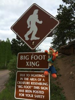 Click to enlarge image Now tigger knows who is friend was... that was scarier than the Heffalump! - Exploring the Top of Pikes Peak Mountain - Near Colorado Springs, Colorado, over 14,000 feet and a view that is hard to beat!