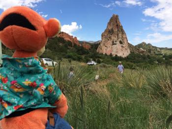 Click to enlarge image  - Garden of the Gods in Colorado Springs - Tigger basques in the beauty of this appropriately named place!