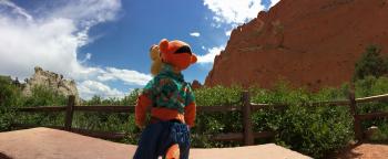Click to enlarge image - Garden of the Gods in Colorado Springs - Tigger basques in the beauty of this appropriately named place!