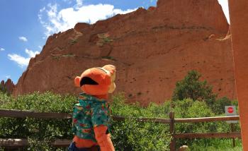 Click to enlarge image - Garden of the Gods in Colorado Springs - Tigger basques in the beauty of this appropriately named place!