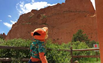 Click to enlarge image  - Garden of the Gods in Colorado Springs - Tigger basques in the beauty of this appropriately named place!