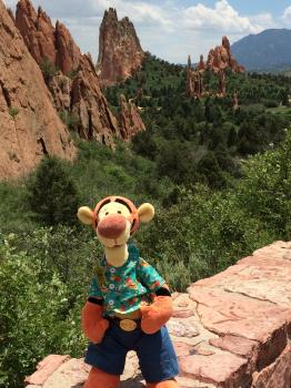 Click to enlarge image Tigger poses for a shot - Garden of the Gods in Colorado Springs - Tigger basques in the beauty of this appropriately named place!