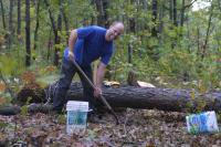 Click to enlarge image  - Arkansas Cabin Ground Breaking - The first days of REAL work - Part 2 of 3