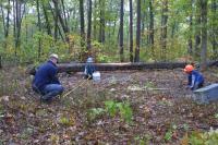 Click to enlarge image  - Arkansas Cabin Ground Breaking - The first days of REAL work - Part 2 of 3