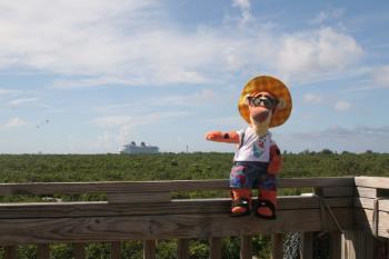 Click to enlarge image From atop the watchtower on the other side of the island, Tigger finds the Disney Fantasy! - Castaway Cay is a private PARADISE managed by Disney Cruise Line! - The only way Tigger or any other guests of Disney Cruise Line can get to Castaway Cay is on a Cruise.
