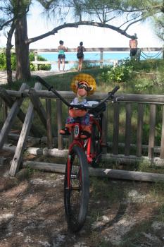 Click to enlarge image Tigger made it to the far end of the island while HOLDING ON FOR DEAR LIFE!!! - Castaway Cay is a private PARADISE managed by Disney Cruise Line! - The only way Tigger or any other guests of Disney Cruise Line can get to Castaway Cay is on a Cruise.