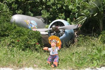 Click to enlarge image This is another treasure hunt item... go find this plane at the far end of the runway while you are there! Tigger did! - Castaway Cay is a private PARADISE managed by Disney Cruise Line! - The only way Tigger or any other guests of Disney Cruise Line can get to Castaway Cay is on a Cruise.