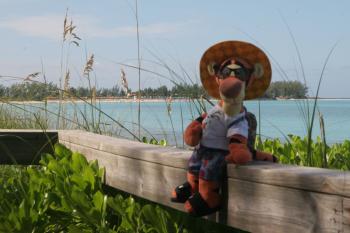Click to enlarge image Sitting at the far end of the island, Tigger looks over Serenity Bay - Castaway Cay is a private PARADISE managed by Disney Cruise Line! - The only way Tigger or any other guests of Disney Cruise Line can get to Castaway Cay is on a Cruise.