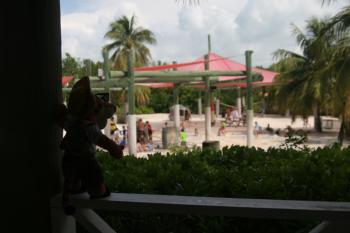 Click to enlarge image Tigger wishes he was young enough to get in on that Whale Dig over at Monstro Point!! It looks like those kids are having a lot of fun bouncing around in the sand! - Castaway Cay is a private PARADISE managed by Disney Cruise Line! - The only way Tigger or any other guests of Disney Cruise Line can get to Castaway Cay is on a Cruise.