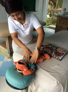 Click to enlarge image What could be better than a massage on Castaway Cay in one of the Cabanas on the beach at Serenity Bay! - Castaway Cay is a private PARADISE managed by Disney Cruise Line! - The only way Tigger or any other guests of Disney Cruise Line can get to Castaway Cay is on a Cruise.