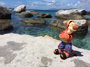 Click to enlarge image At first, Tigger was ver nervous so close (and in the middle) of the water. Most of it is only knee deep to children but Tigger is much shorter! - TRC Boating in the British Virgin Islands - Part 2 of 5 - Virgin Gorda and The Baths