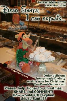 Click to enlarge image Order Divinity online at Two Dumb Dames. - 1 of #25daysofChristmas! - Dear Santa-I can Explain... Tigger writes his letter to Santa #TiggersLetterToSanta2016 - Tigger needs your help writing his 2016 Christmas letter to Santa! Two Dumb Dames Edition